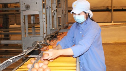 Hơn 8.400 tỷ tiền sử dụng đất đổ vào ngân sách, kinh tế Tây Ninh đang “lên cơ” sau hợp nhất