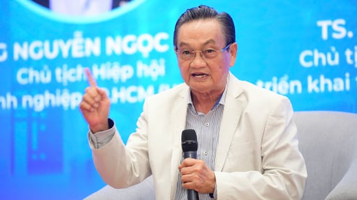 TS Trần Du Lịch kiến nghị 5 điều cấp bách cho TP.HCM, đặc biệt nên xây 1 khu thương mại tự do ở Cái Mép - Thị Vải