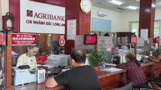 Agribank Chi nhánh Bắc Long An: Đồng hành phát triển kinh tế vùng biên giới