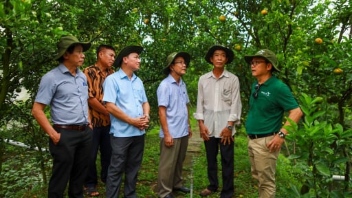 13 triệu USD CropLife Quốc tế dành để thúc đẩy việc sử dụng, quản lý thuốc bảo vệ thực vật bền vững