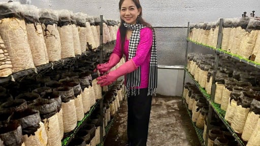 Một nữ giám đốc HTX ở tỉnh An Giang mới 'biến' thứ rác gì mà ra bộn tiền, 10 người khen cả 10?