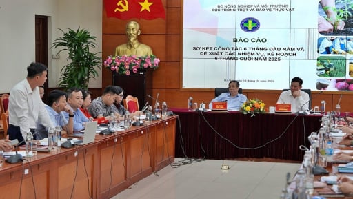 Cà phê, gạo, hạt điều 'đắt hàng', ngành Trồng trọt và BVTV đặt mục tiêu xuất khẩu nông sản 35 tỷ USD