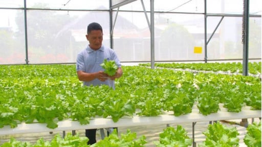 Long An sáp nhập Tây Ninh: Nhiều lợi thế để nông nghiệp ứng dụng công nghệ cao phát triển