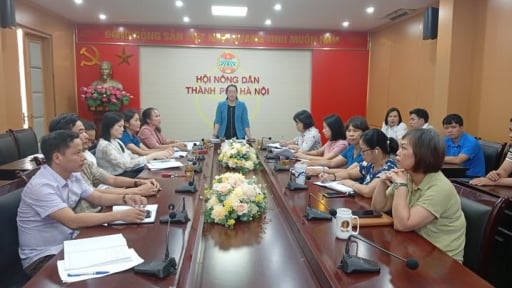Sau 2 tuần vận hành mô hình chính quyền địa phương mới, Hội Nông dân Hà Nội tổ chức hội nghị giao ban công tác hội