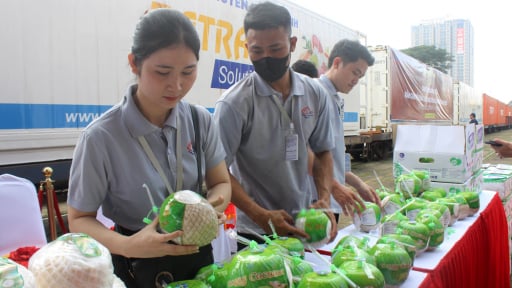 Việt Nam có nhiều loại trái cây đứng top thế giới mà ít ai biết, đang được kỳ vọng cứu xuất khẩu nông sản