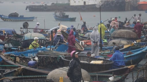 Ứng phó bão WIPHA, Đà Nẵng yêu cầu kiểm soát chặt tàu thuyền trên biển