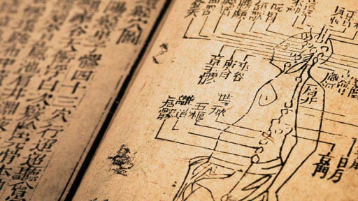 Người được mệnh danh là “ông tổ” thuốc Nam là ai?