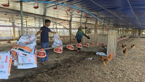 Nông dân Hải Phòng như ngồi trên đống lửa, sợ lại 'trắng tay' vì bão số 3