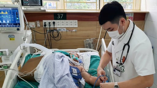 Đến thầy lang đắp lá chữa rắn cắn, một người đàn ông ngừng tim, tổn thương não