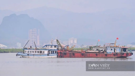 Tạm ứng bồi thường cho khách hàng gặp nạn trên tàu Vịnh Xanh 58