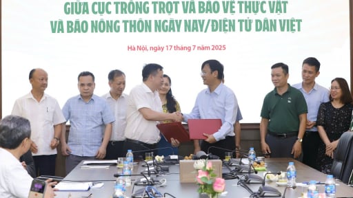Hạt lúa, câu chuyện không bao giờ cũ