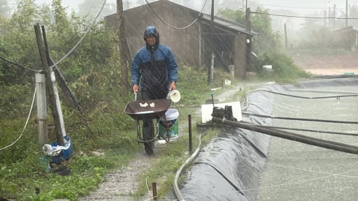 Ninh Bình, Hưng Yên, Thanh Hóa, Nghệ An vào tâm điểm mưa vì bão số 3 Wipha
