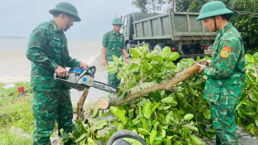 Đặc khu Cô Tô (Quảng Ninh) an toàn khi bão  WIPHA quét qua, quân, dân dọn dẹp cây đổ