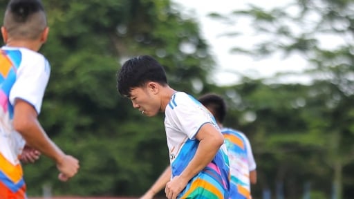 Bình Phước hay Bình Định thế chỗ CLB Quảng Nam dự V.League 2025/2026?