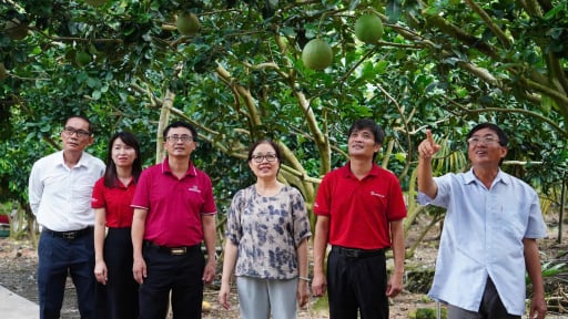 Dòng vốn Agribank 'tiếp sức' cho kinh tế nông hộ phát triển bền vững