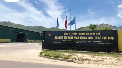 Tiếp tục đầu tư 120 tỷ mở rộng sản xuất tại Gia Lai, Phân Bón Cà Mau phủ sóng miền Trung - Tây Nguyên