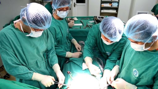 Mắc bệnh ngực gà, cậu bé 12 tuổi tự ti, mặc cảm, ngại giao tiếp 