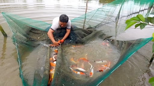 Tân Chủ tịch Hội Nông dân TP.HCM: Sắp xếp bộ máy tinh gọn, hướng về cơ sở, nâng cao hiệu quả hoạt động