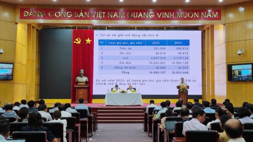 Phòng, chống dịch tả lợn châu Phi bằng vaccine: Rẻ nhất, hiệu quả nhất