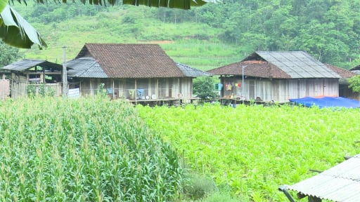 Nông thôn mới ở một xã mới của Thái Nguyên sau sáp nhập còn các ngôi nhà sàn đẹp mê ly, ngỡ như cổ tích