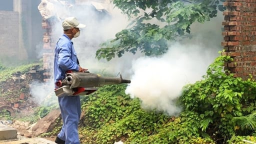 Dịch sốt xuất huyết có nguy cơ bùng phát, Phó Chủ tịch Hà Nội nói 'không có chuyện ra quân một tháng xong nghỉ'