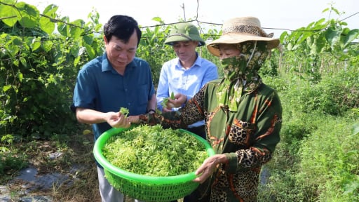 Hội Nông dân Thanh Hóa gắn kết hội viên qua chi, tổ hội nghề nghiệp, nông dân khá giả hẳn lên