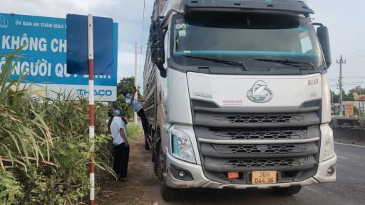 Bất ngờ kết quả xét nghiệm 54 con lợn không kiểm dịch từ tỉnh Gia Lai vào Nam tiêu thụ bị công an phát hiện