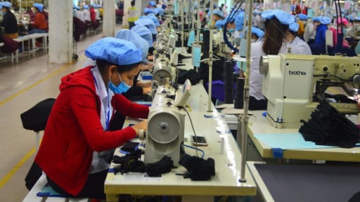 Hơn 300 doanh nghiệp ở Đà Nẵng nợ bảo hiểm: Lãi phạt vượt cả tiền gốc
