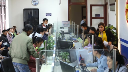 'Cò đất' diễn biến phức tạp, UBND tỉnh Lâm Đồng chỉ đạo chấn chính