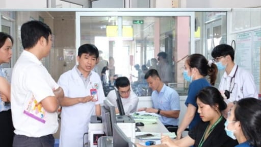TP.HCM: 'Điểm nóng' sốt xuất huyết An Phú, hai bệnh viện nguy cơ quá tải
