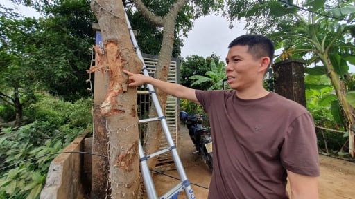Người dân kể lại giây phút chứng kiến tai nạn xe khách, cứu vợ chồng nạn nhân bằng cách hướng dẫn hà hơi thổi ngạt