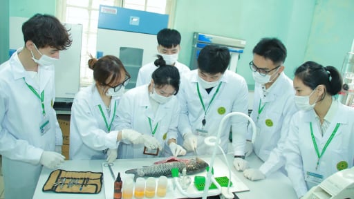 Học viện Nông nghiệp Việt Nam công bố mức điểm nhận hồ sơ xét tuyển đại học hệ chính quy năm 2025