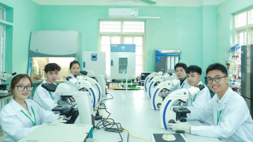 Một ngành học gắn với ngành hàng xuất khẩu chục tỷ USD của Việt Nam, sinh viên ra trường là có việc làm, lương cao