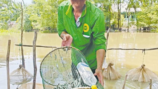 Trên dòng kênh lớn nhất Việt Nam, mùa này dân miền Tây ngóng lũ lên đồng, vá lưới còn bắt cá tôm ngon