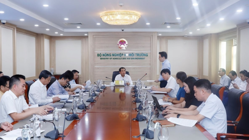 Bộ Nông nghiệp và Môi trường đề xuất bãi bỏ loạt thủ tục không cần thiết, trùng lặp, tiết kiệm được 5.000 tỷ đồng