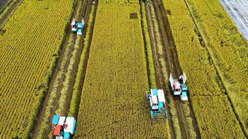 Sau sáp nhập, Cần Thơ sẽ là 'siêu đô thị” nông nghiệp lớn nhất miền Tây với đầy đủ trung tâm logictics, cảng biển