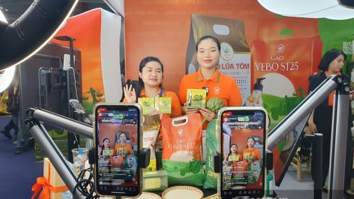 Tiết lộ bất ngờ về giá trị mỗi đơn hàng khách mua trên TikTok Shop, Shopee, Lazada và Tiki