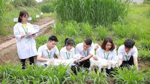 Một ngành học 'hot' ở Học viện Nông nghiệp Việt Nam, sinh viên chưa ra trường đã được doanh nghiệp săn đón
