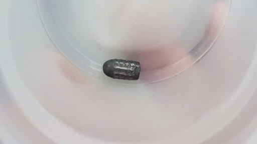 Người phụ nữ đang làm vườn ở Cần Thơ bị đạn lạc trúng đầu là do súng hơi bắn chim của hàng xóm