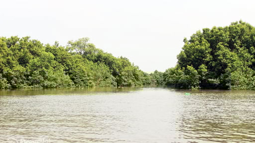 Nơi này ở tỉnh Đồng Nai la liệt đặc sản cá nước lợ, tôm nước lợ, nghe tên đã thấy ngon lắm rồi