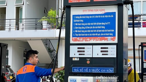 TP.HCM bắt đầu bán xăng E10, treo bảng, phát loa giới thiệu, giá rẻ hơn RON95