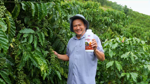 RootBio: Bí quyết xanh lá, bung đọt, kích rễ mạnh