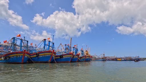 Chống khai thác IUU: TP.HCM xử lý tàu cá vi phạm và cả cán bộ nếu không hoàn thành nhiệm vụ