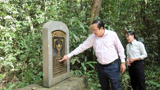 Già đẫy Java, voọc, sếu đầu đỏ cũng về đây, vì sao du lịch vườn quốc gia ở Tây Ninh chưa bứt phá?