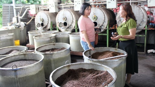 Lợi nhuận thấp, rủi ro cao, vốn bị treo dài ngày khiến doanh nghiệp hồ tiêu điêu đứng vì Luật Thuế giá trị gia tăng