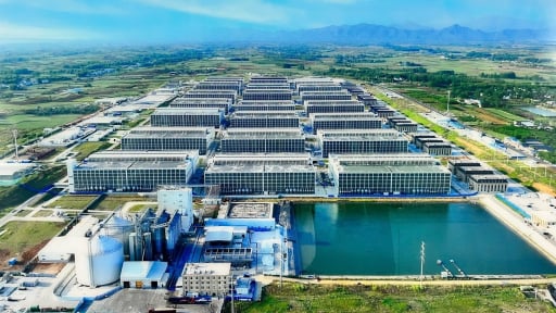 Bộ Nông nghiệp và Môi trường kiến nghị cho phép triển khai mô hình 'chung cư nuôi lợn'