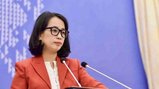 Việt Nam xử lý các công dân nước ngoài cư trú bất hợp pháp, vi phạm pháp luật