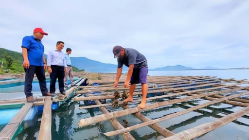 Hội Nông dân thành phố Huế tổ chức hội thi trực tuyến tìm hiểu phong trào sản xuất kinh doanh giỏi 