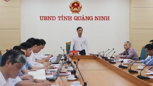 Nghiên cứu lắp đặt thiết bị cảnh báo sớm dông lốc trên vịnh Hạ Long