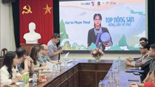 Chủ tịch Liên minh HTXVN nói gì về việc mời Tiktoker Phạm Thoại livestream sự kiện “Top nông sản - Nông sản về phố”?